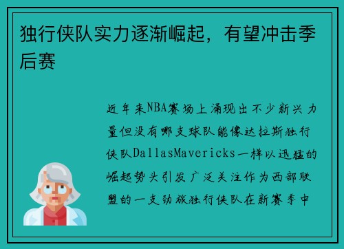 独行侠队实力逐渐崛起，有望冲击季后赛